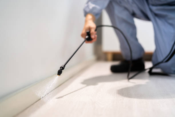 Licensed Fumigation Services service in Pell City, AL - Nex Pest Control