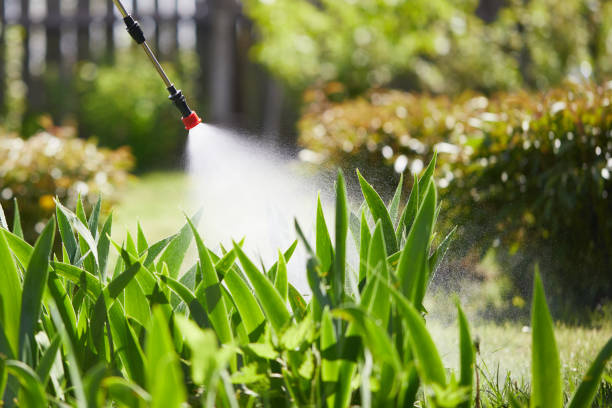 24/7 Emergency Fumigation Services experts in Pell City, AL