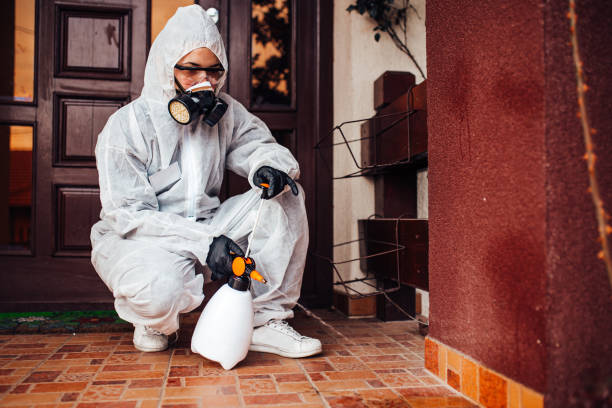 Reliable Fumigation Services contractor in Pell City, AL by Nex Pest Control